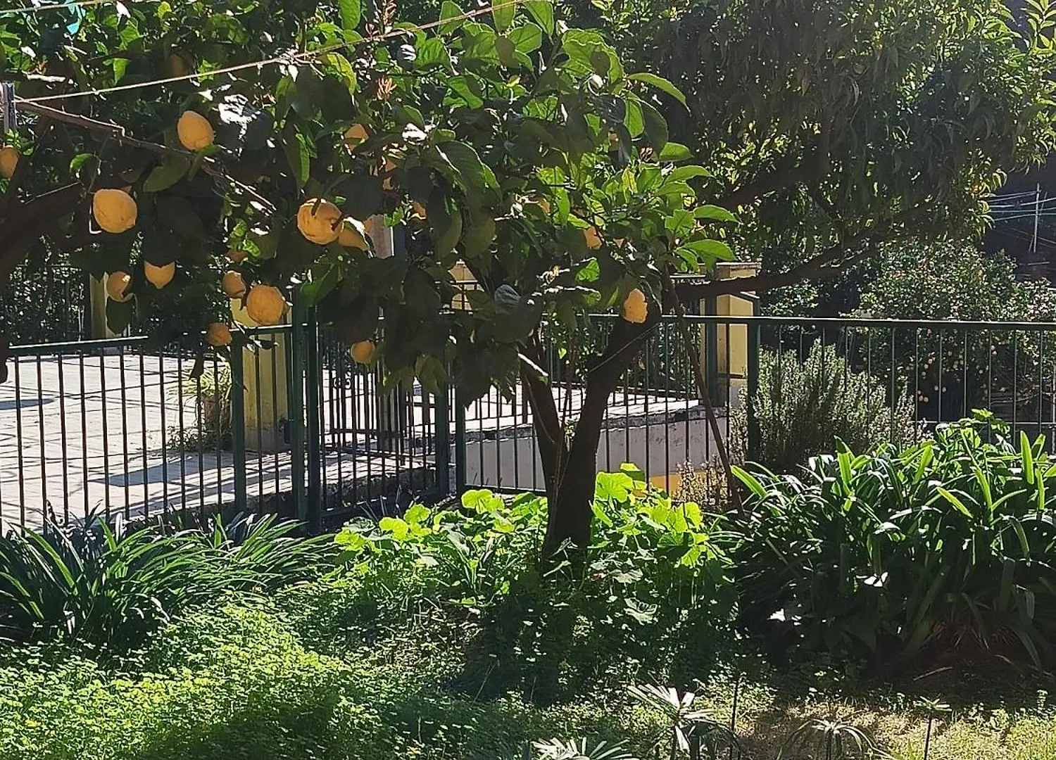 Apartment Chez Diego With Ac And Garden Monterosso al Mare
